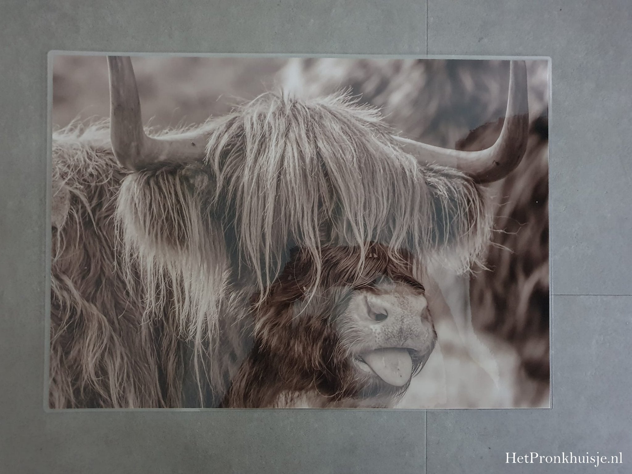 Placemat. Hooglanders sepia