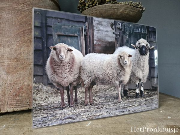 Placemat. Nr 114
