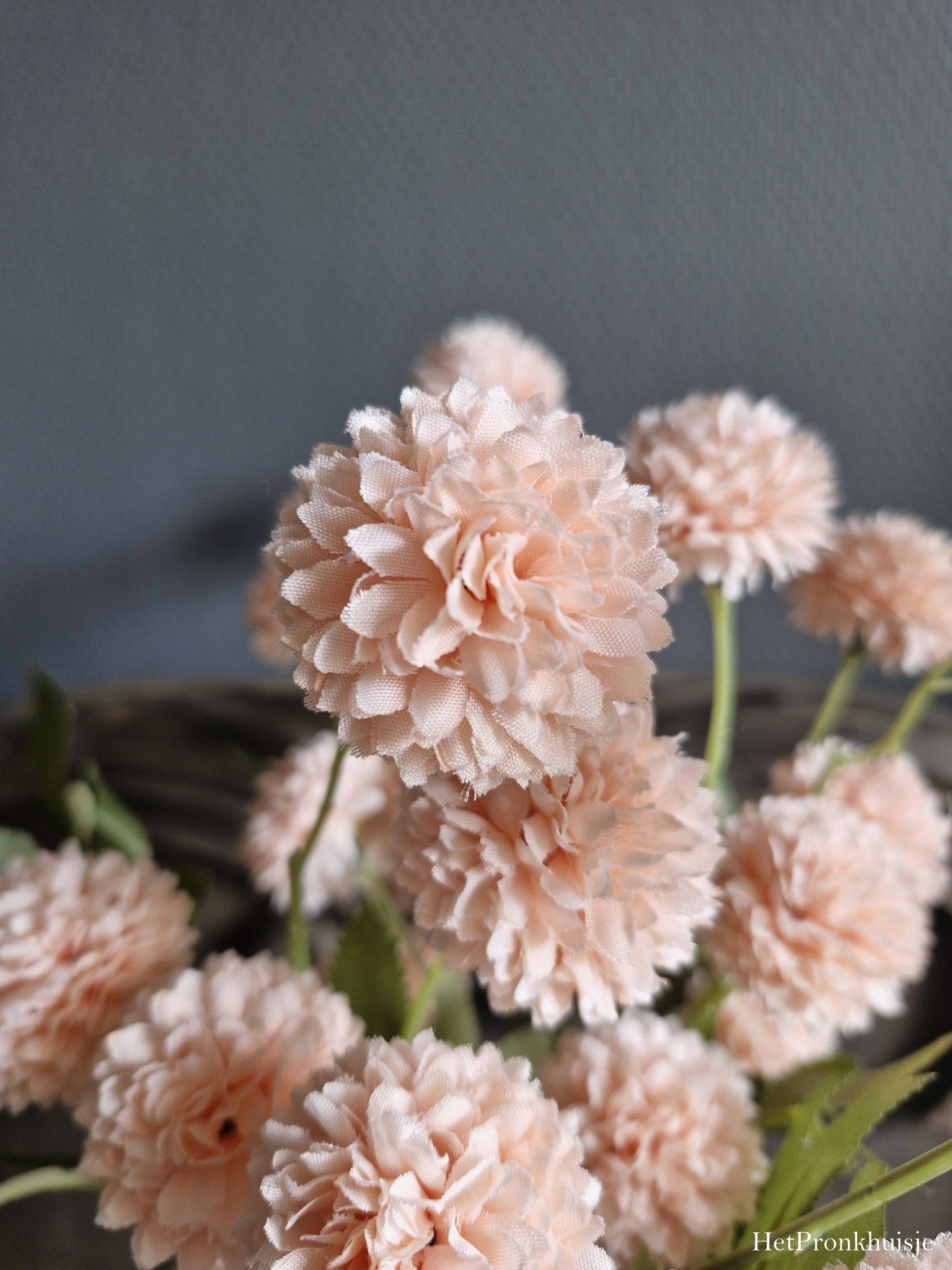 PomPom Dahlia. Roze