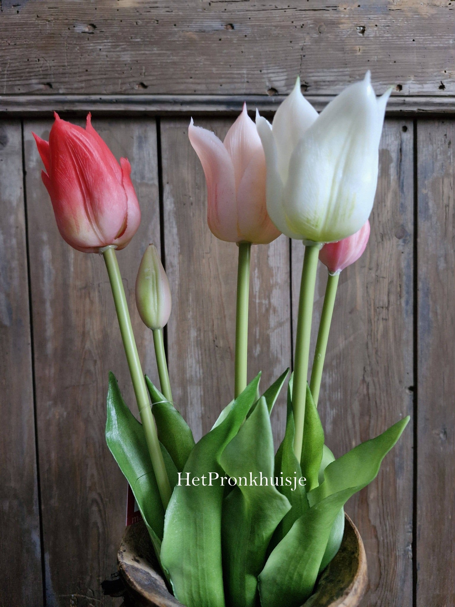 Punt tulp. Mix roze