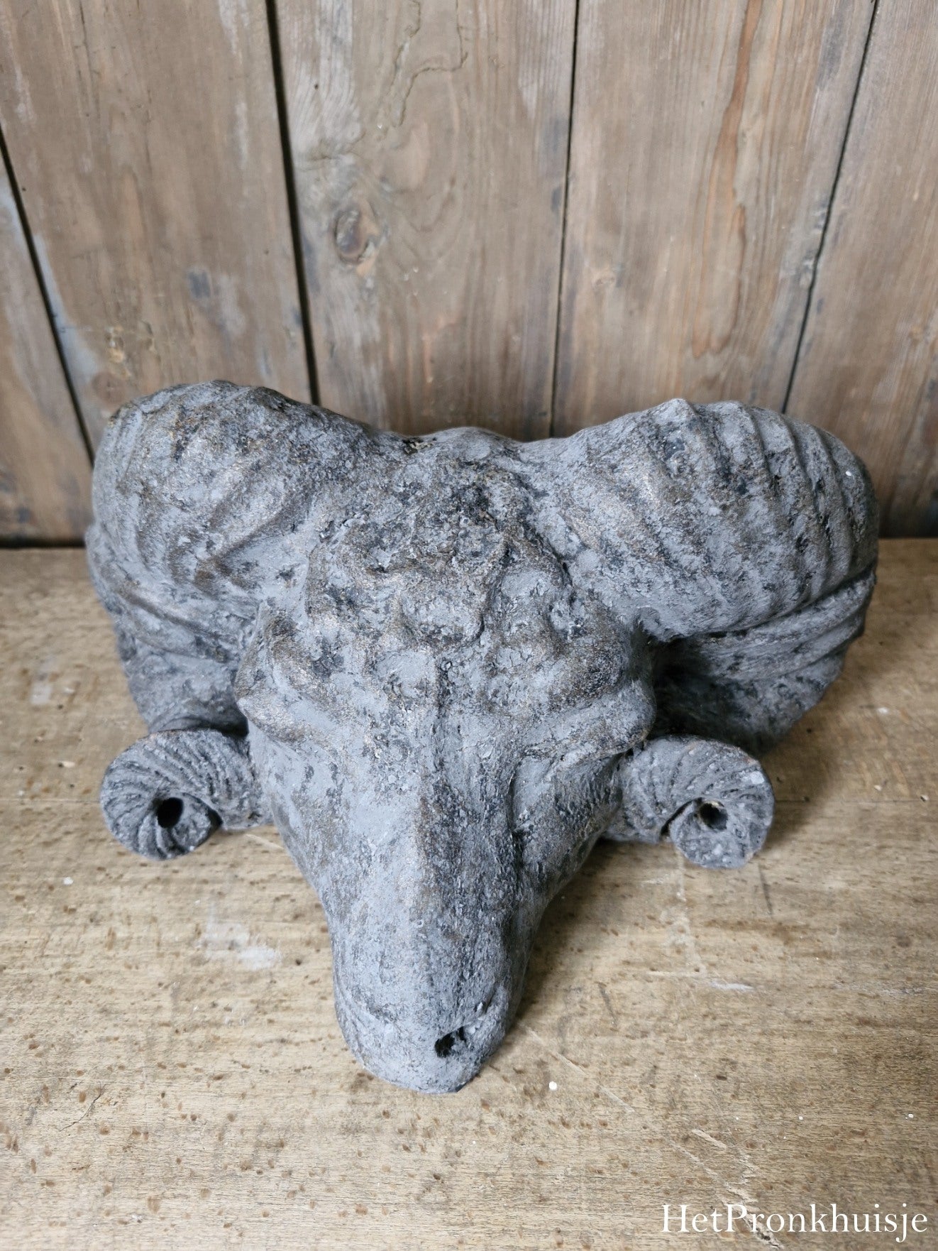 Ramskop groot