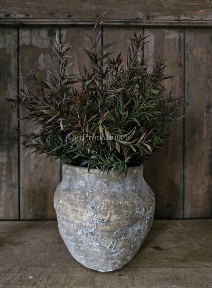 Rozemarijn Bush dark