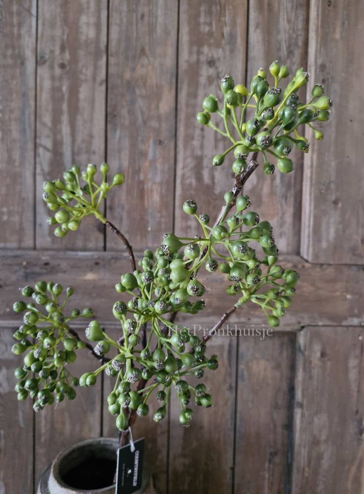Rozenbottel tak. Groen