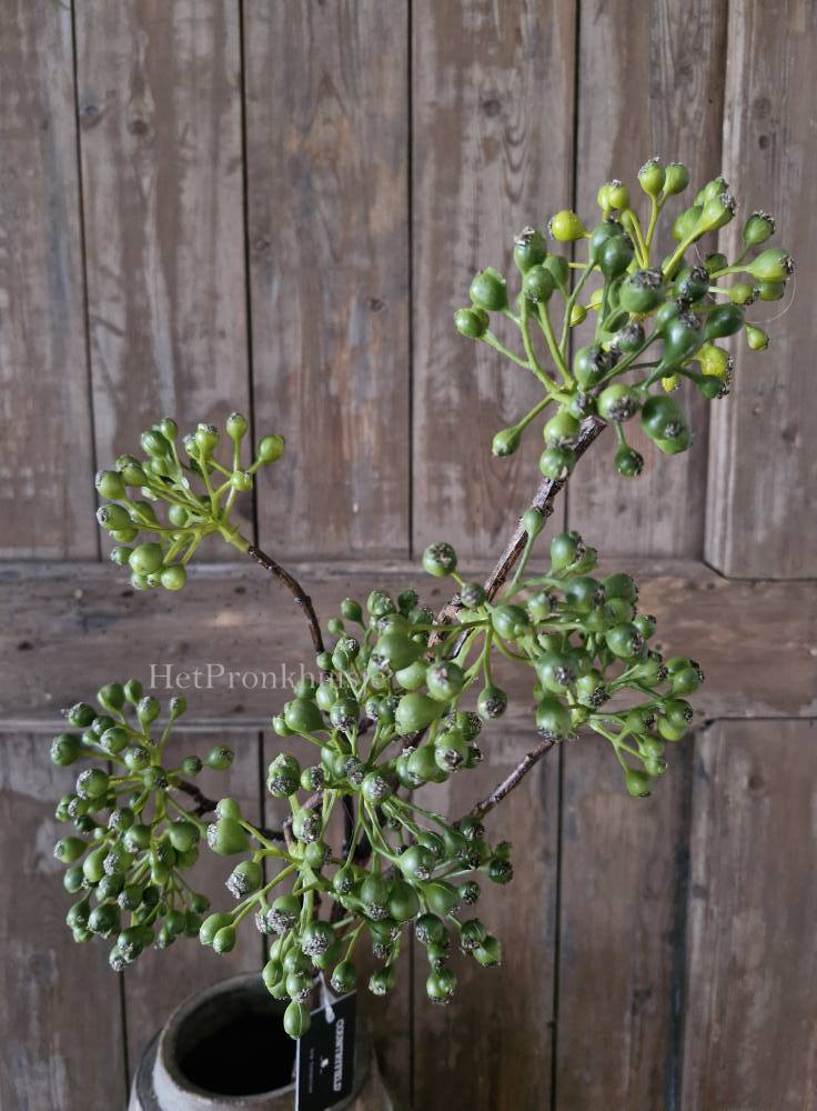 Rozenbottel tak. Groen