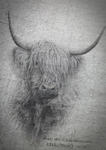 Shabby plaid. Hooglander. 100x100