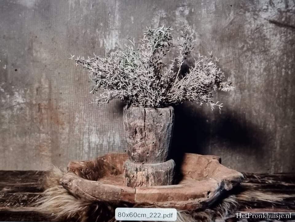Spatscherm. Bloemen in schaal