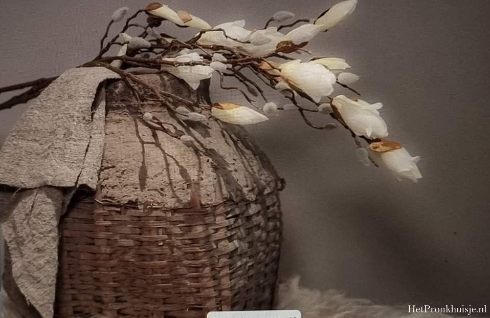 Spatscherm. Leemkruik met magnolia