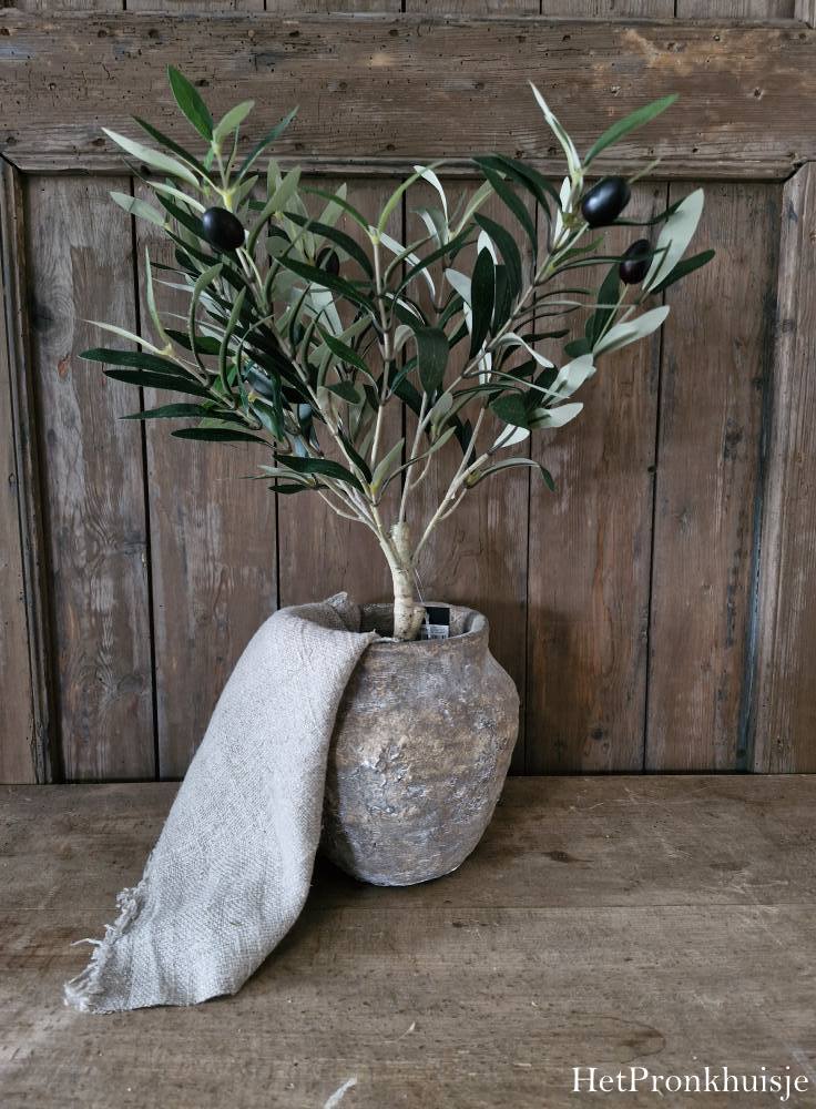 Suzo pot. Berend