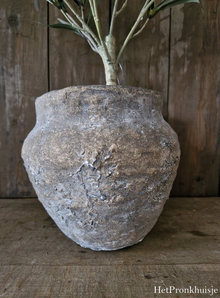 Suzo pot. Berend