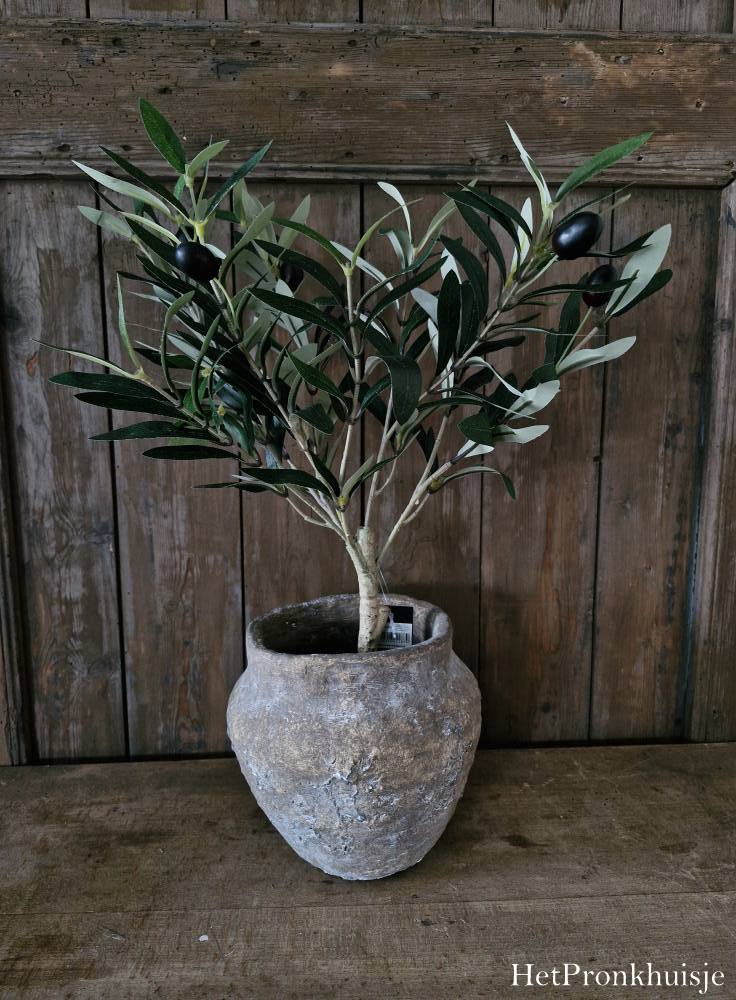 Suzo pot. Berend