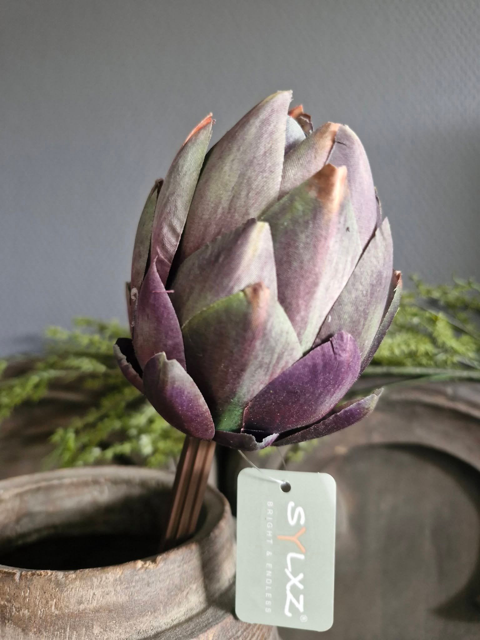 Sylxz. Artisjok groen