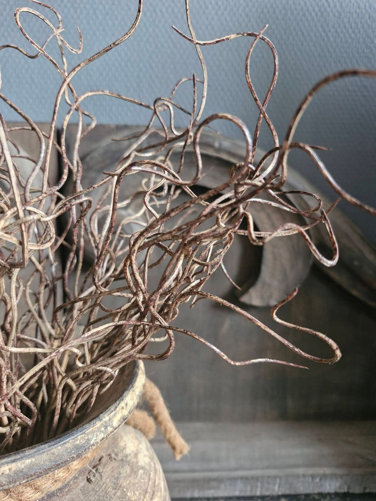 Sylxz. Twig bush brown