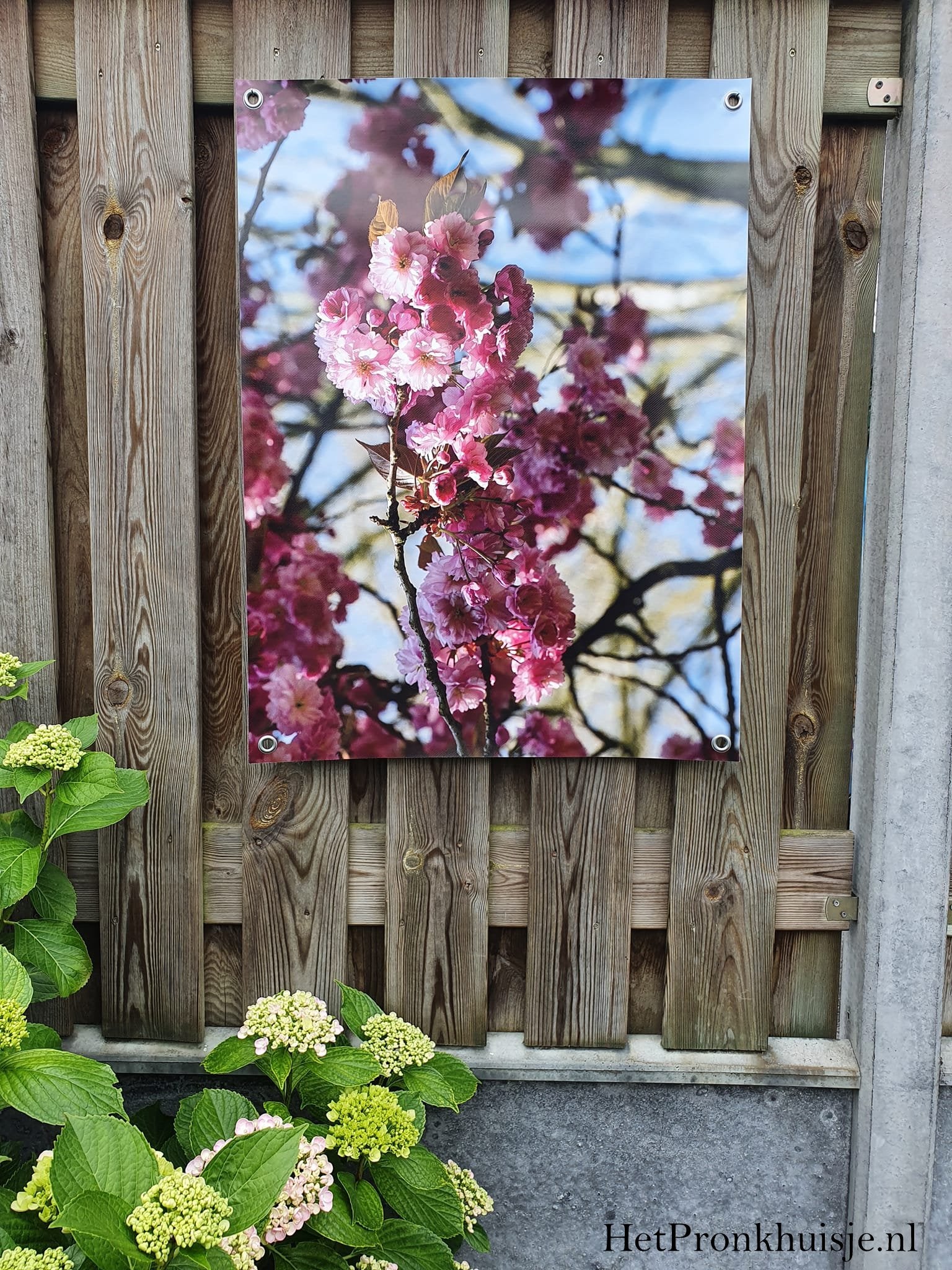 Tuinposter. Paarse bloemen