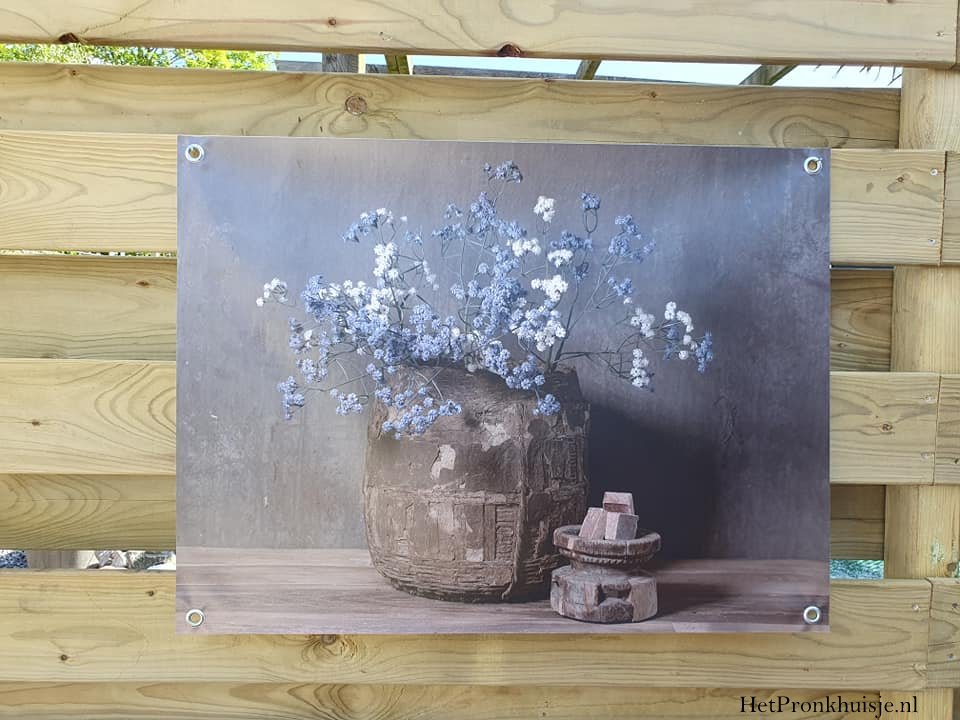 Tuinposter. Gipskruid in mand.