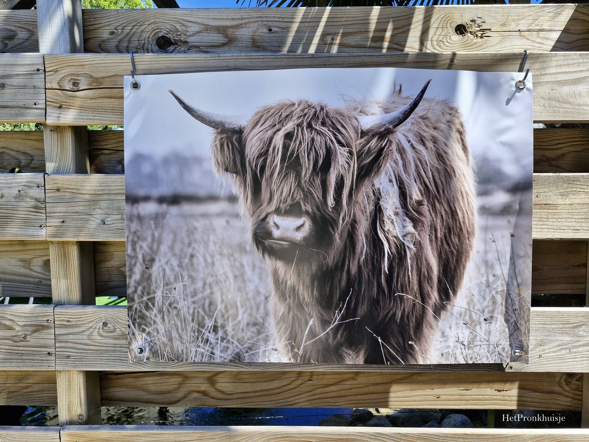 Tuinposter. Hooglander in veld