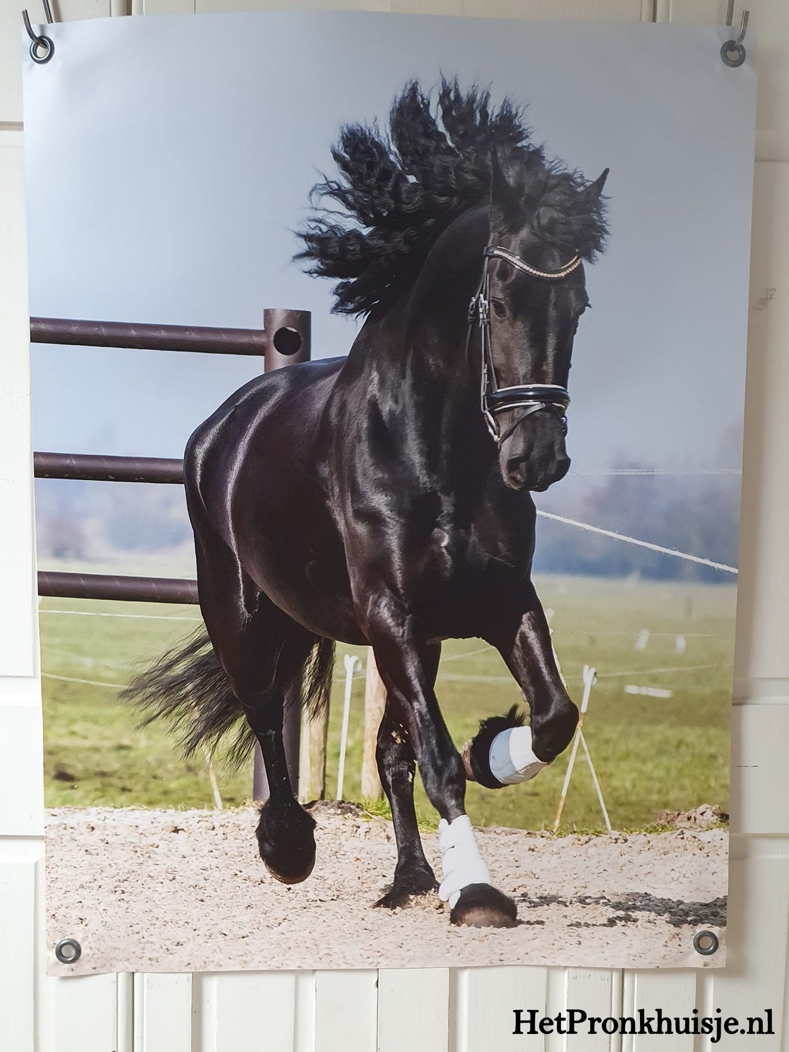 Tuinposter. Nr 215