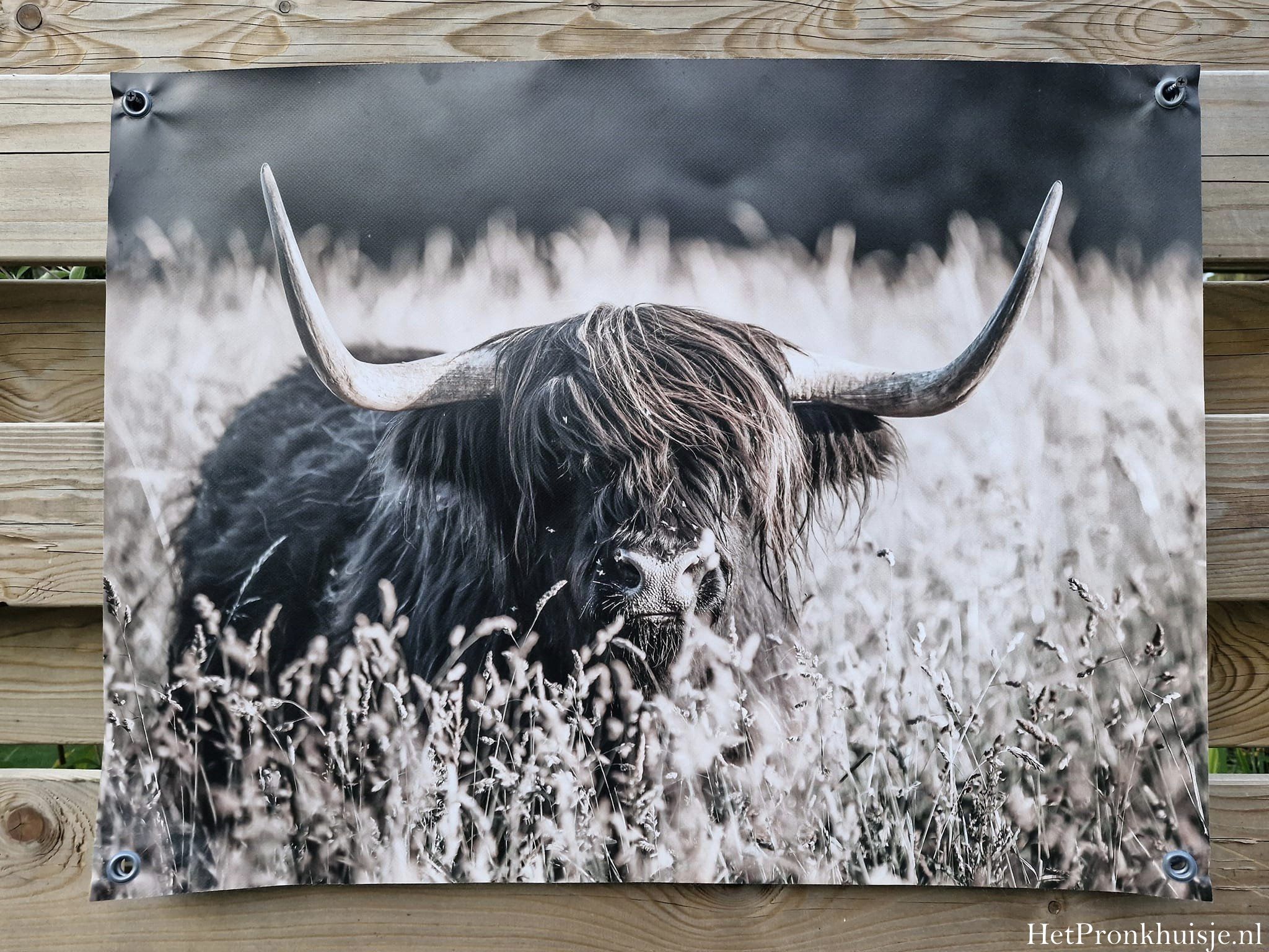 Tuinposter. Nr 267