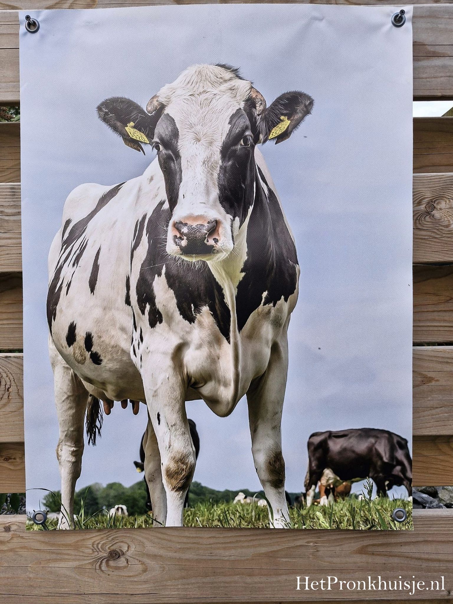 Tuinposter. Nr 65