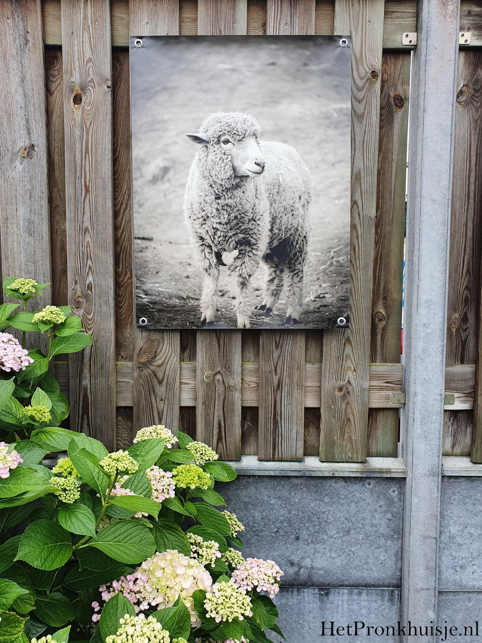 Tuinposter. Nr 198