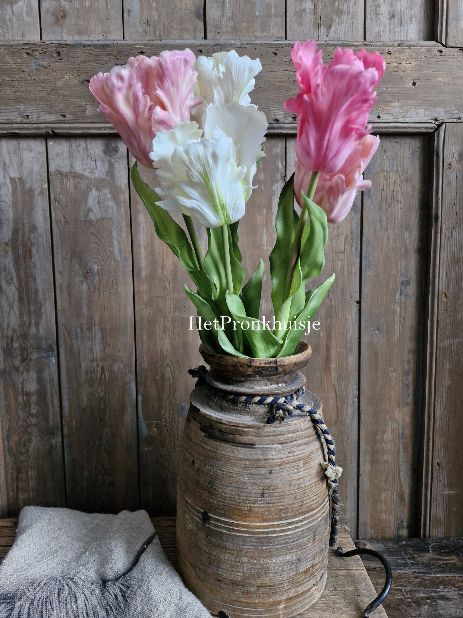 Tulp. Parrot. Mix paars roze en wit