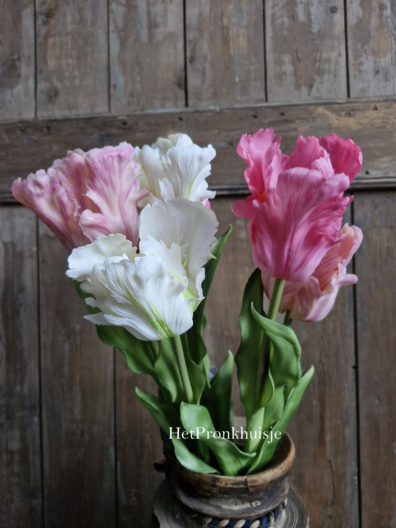 Tulp. Parrot. Mix roze en wit