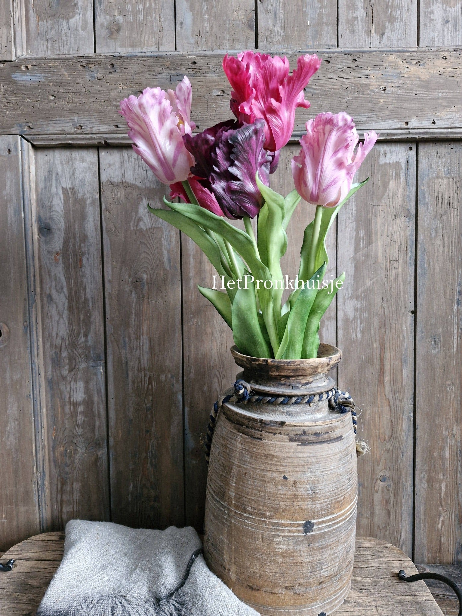 Tulp. Parrot. Mix paars roze