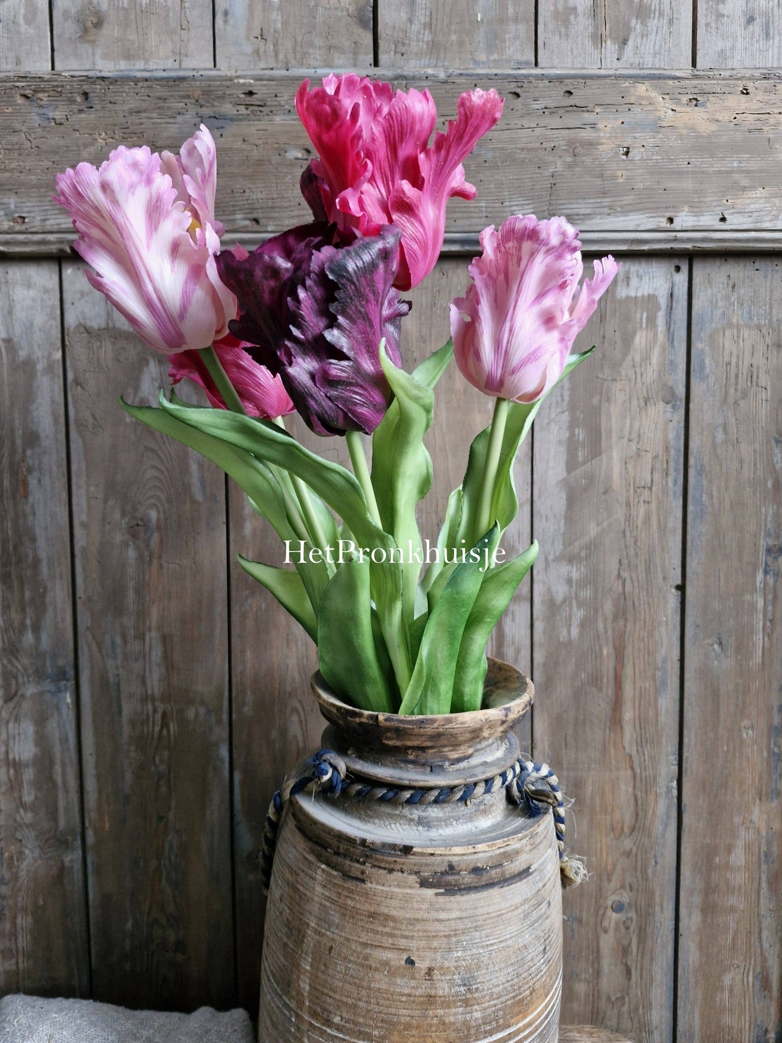 Tulp. Parrot. Mix paars roze