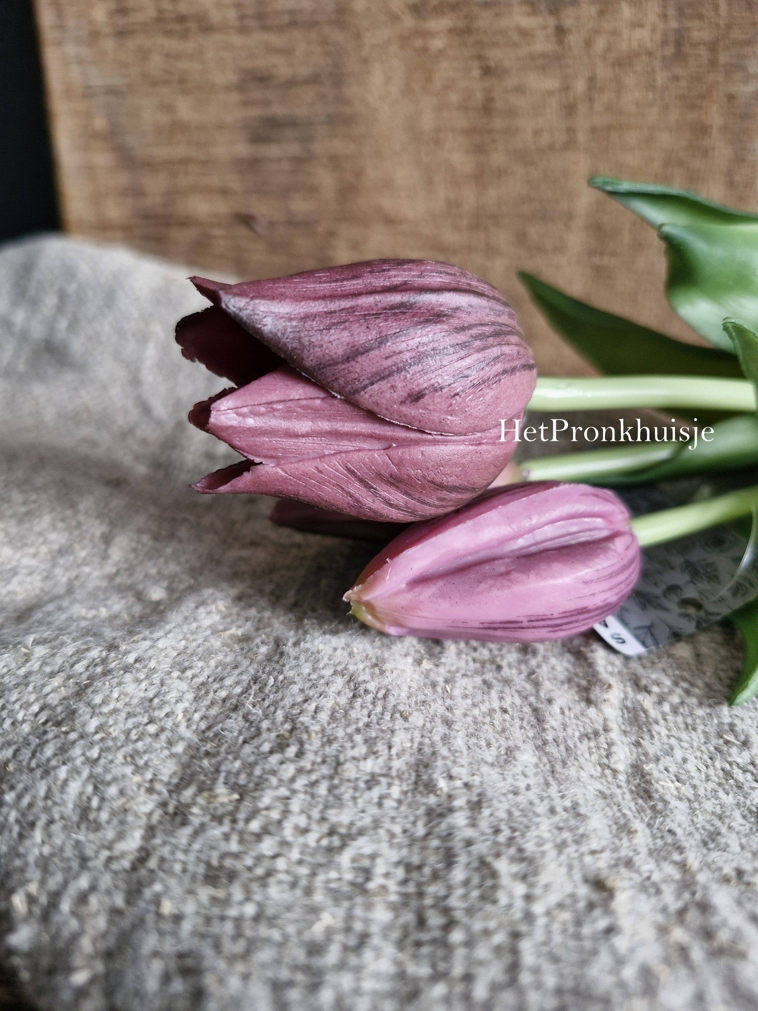 Tulpen. Paars. 3 Stelen