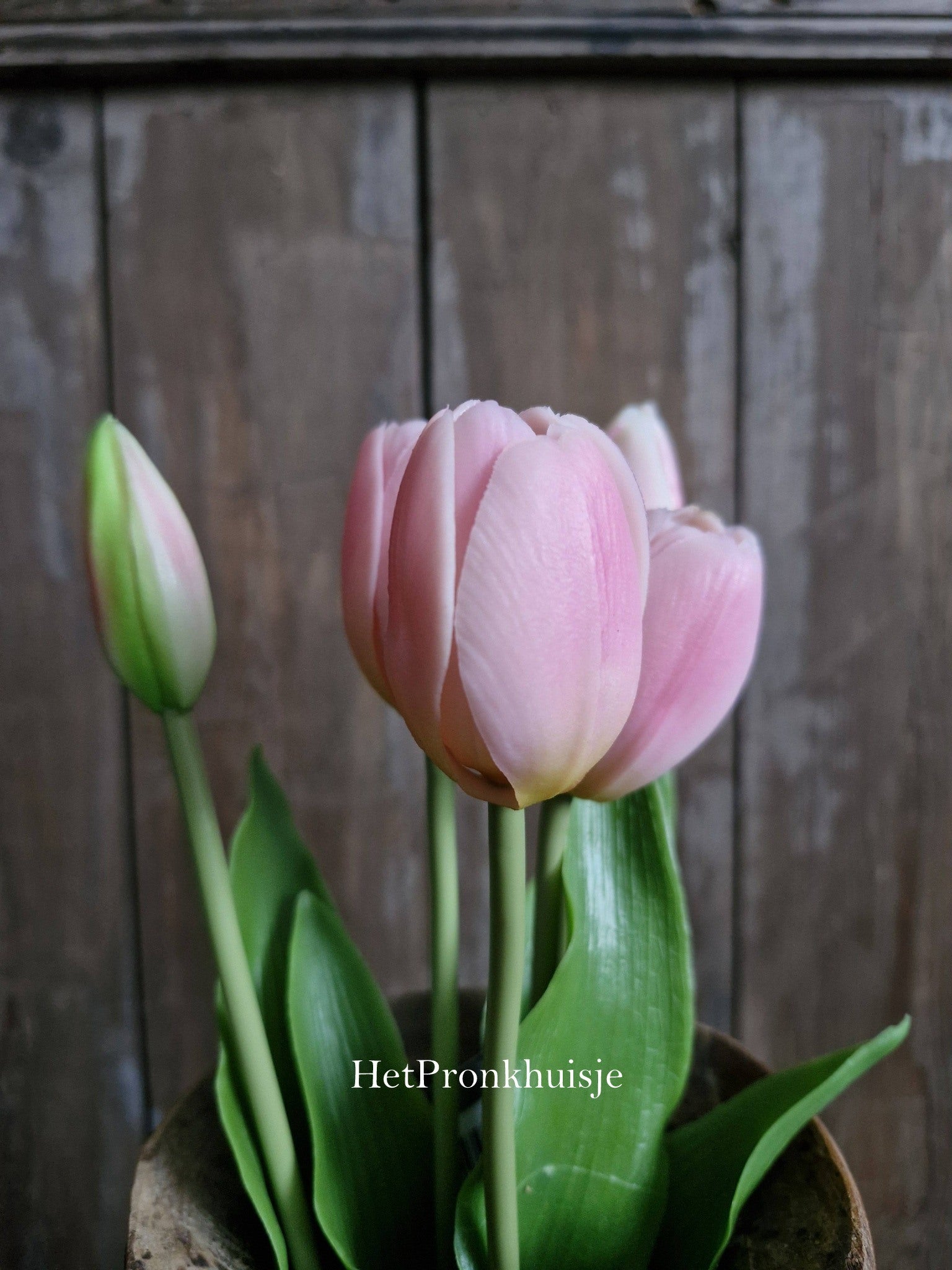 Bos tulpen. Roze. 5 stelen