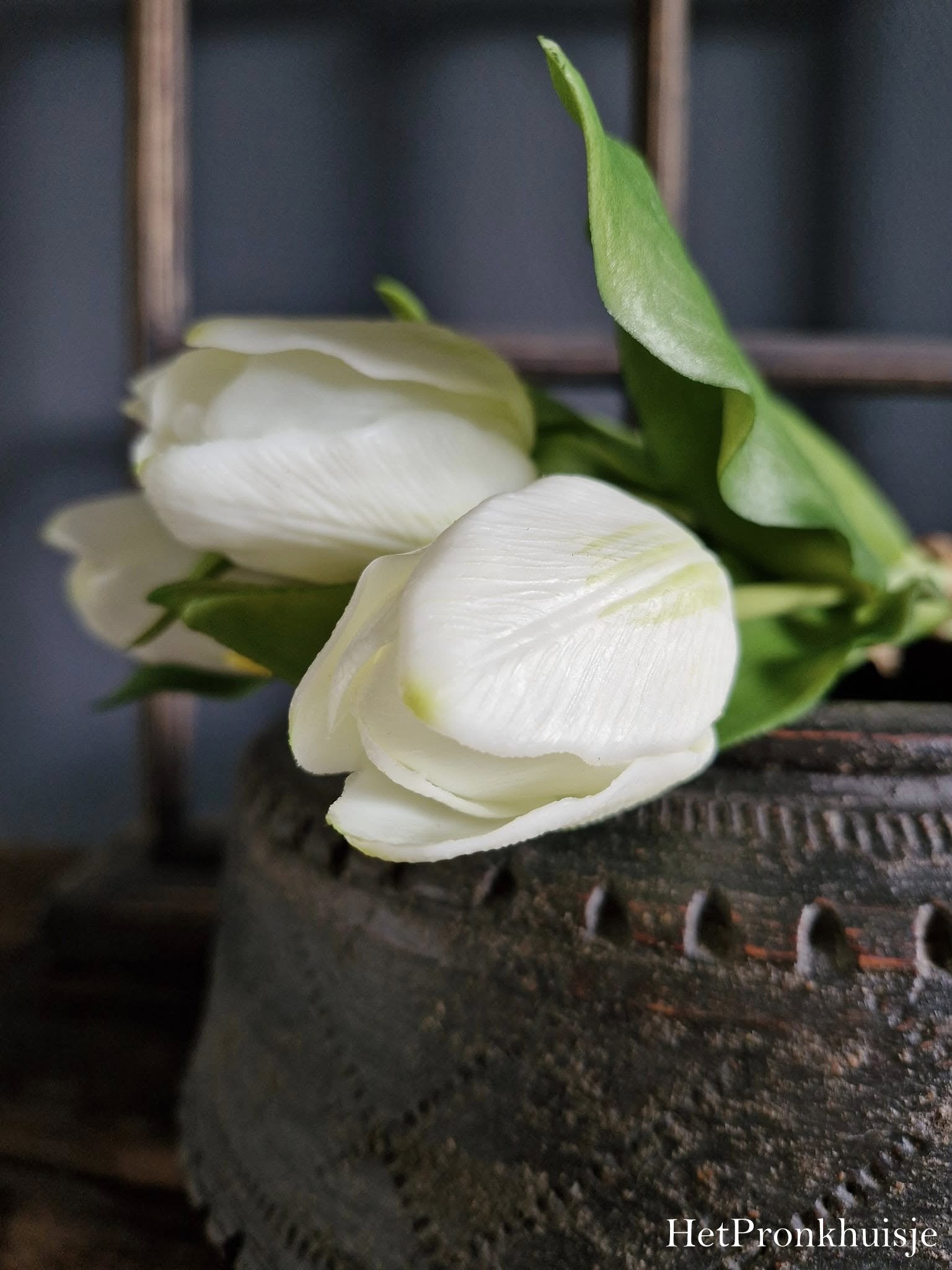 Tulpen. Wit. 31cm