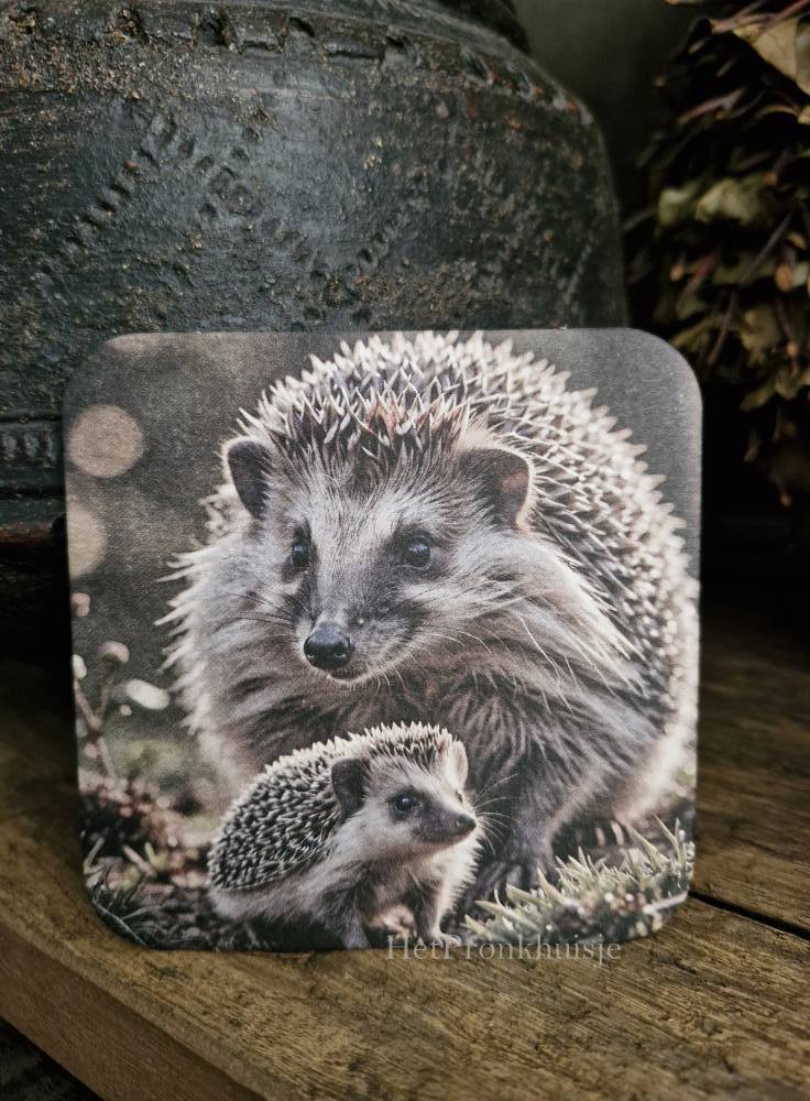 Viltje. Egel