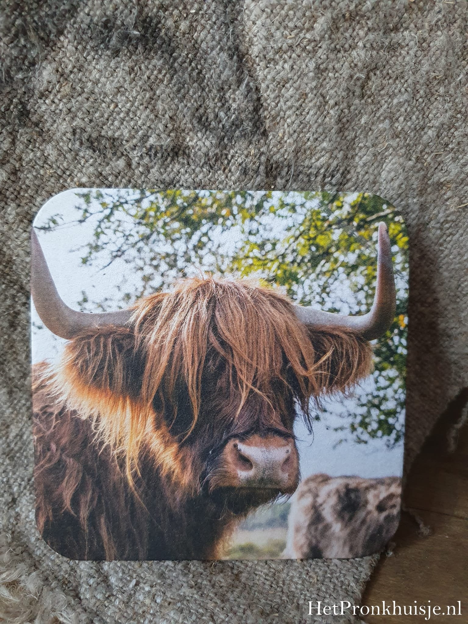 Viltje. Hooglander
