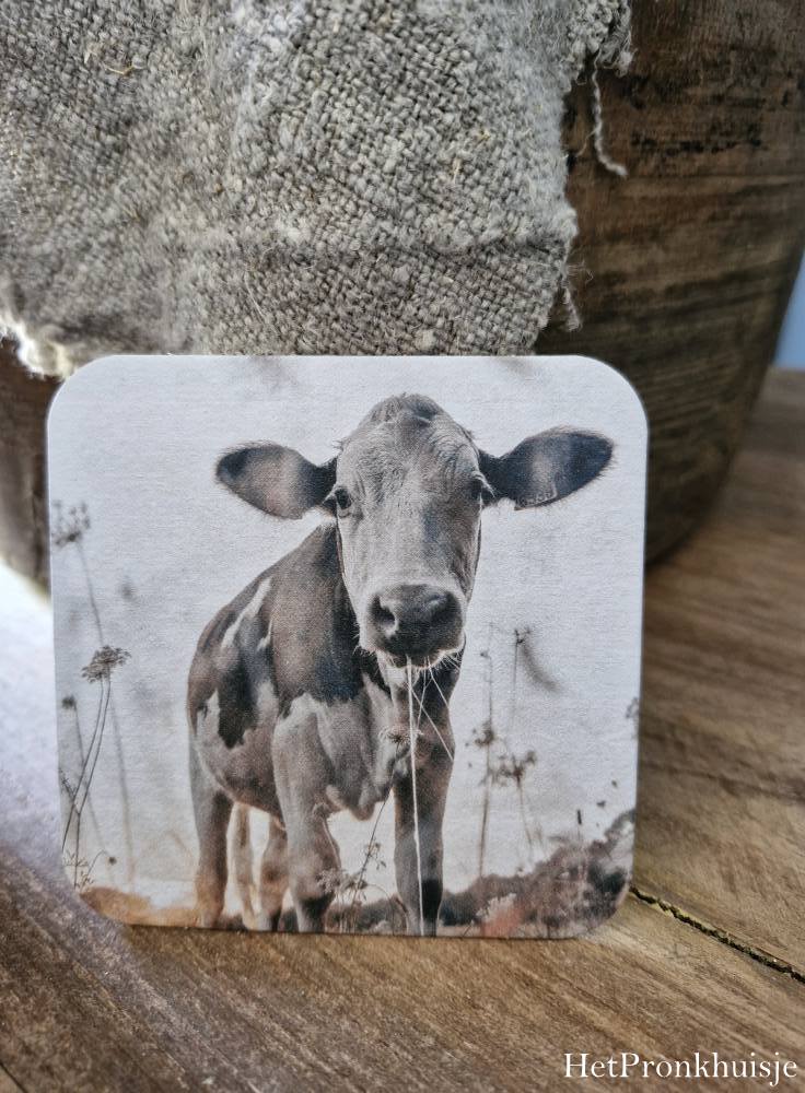 Viltje. Koe in veld