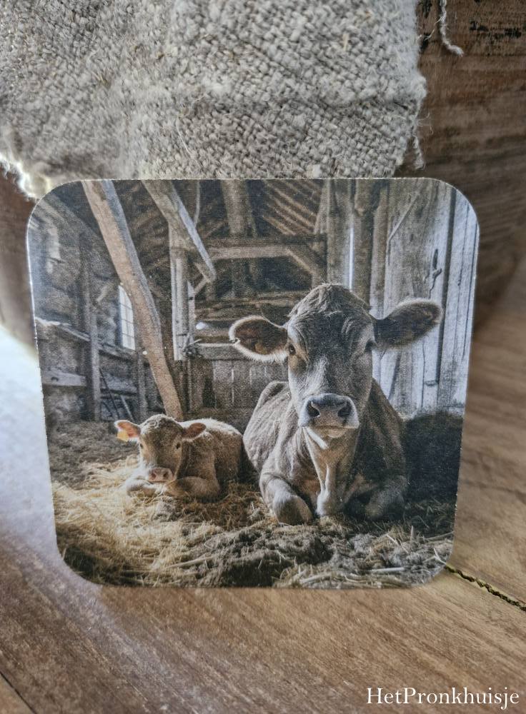 Viltje. Koe met kalf