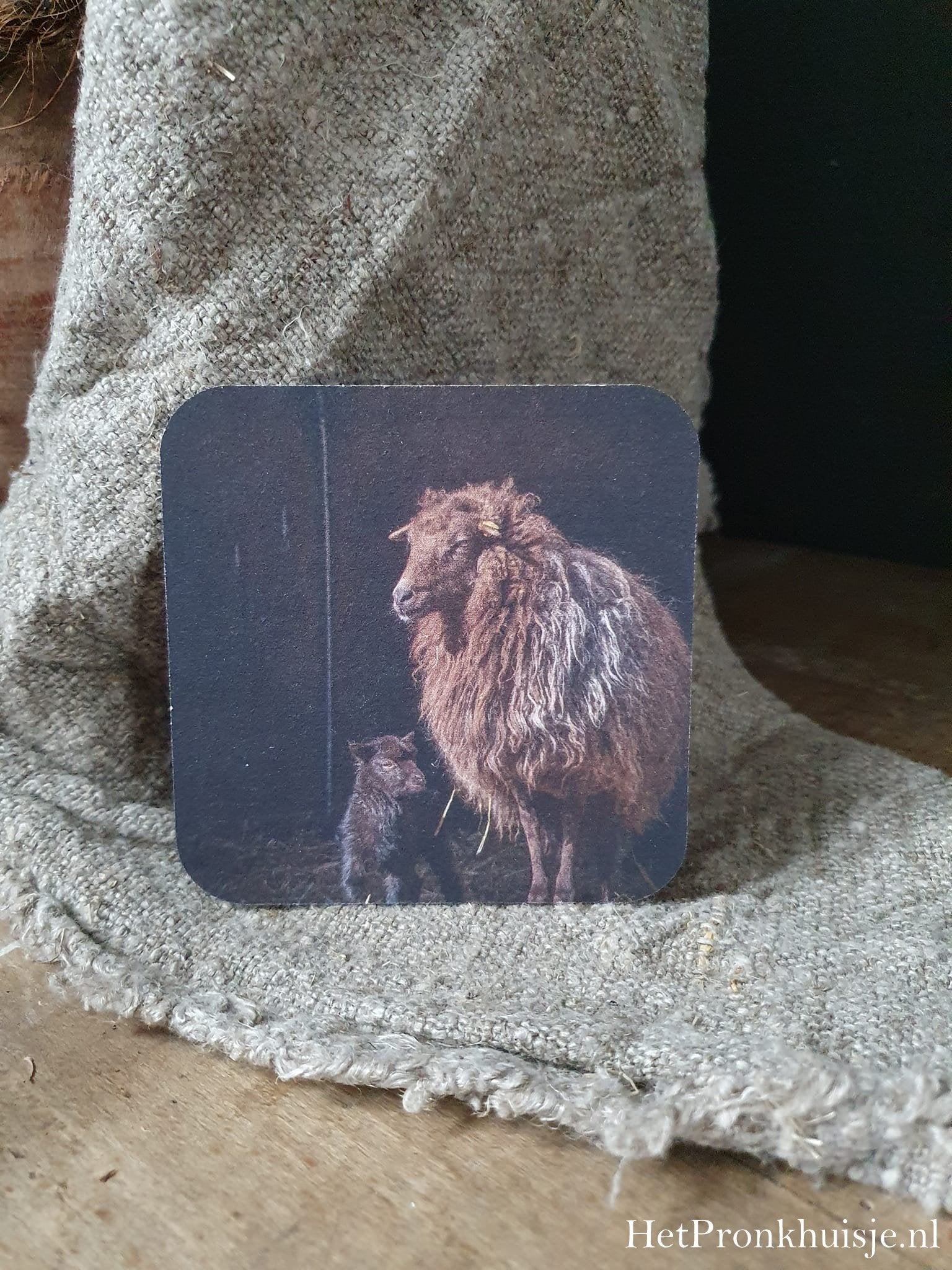 Viltje. Schaap met lam