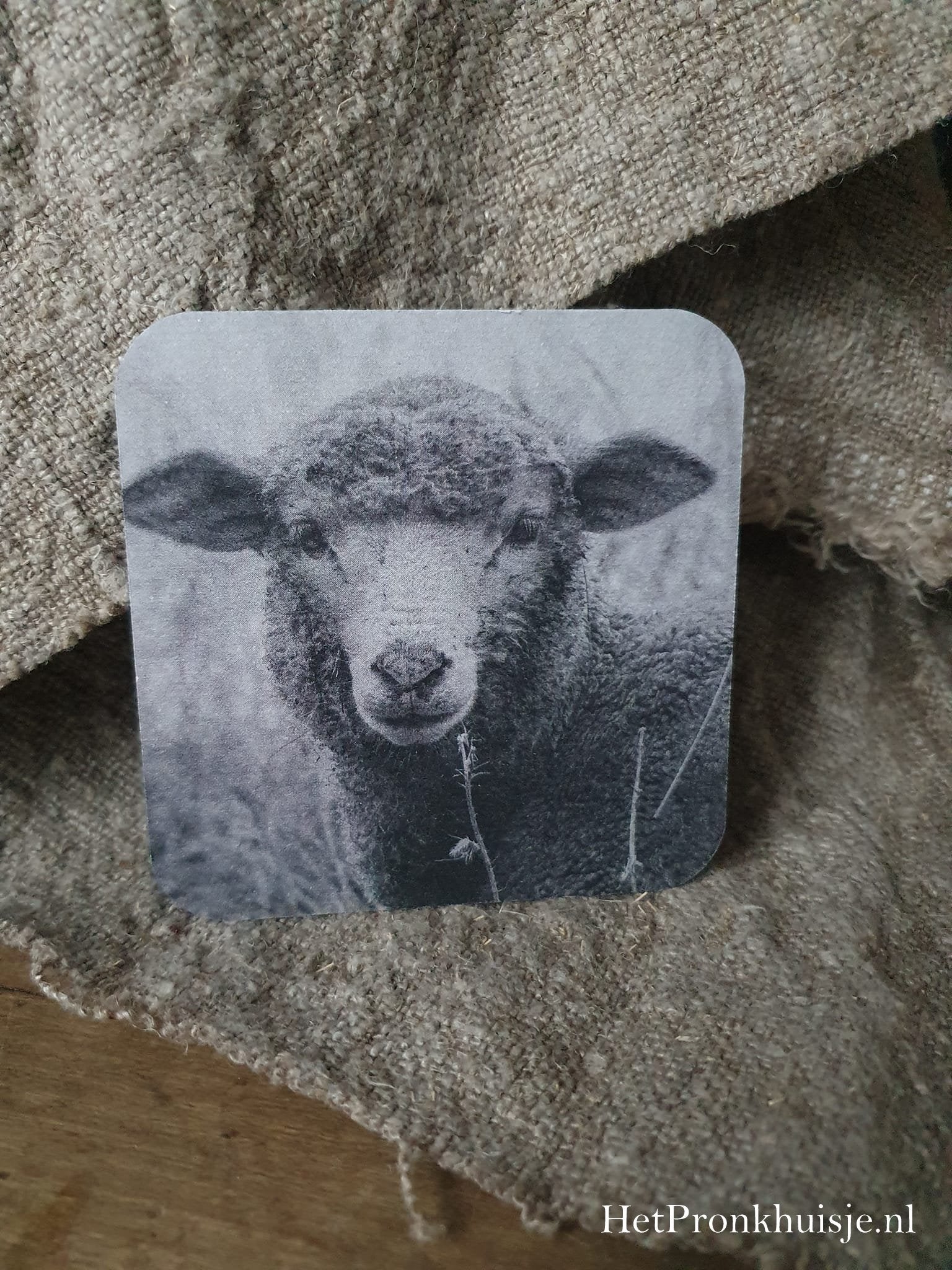 Viltje. Schaap zwart wit