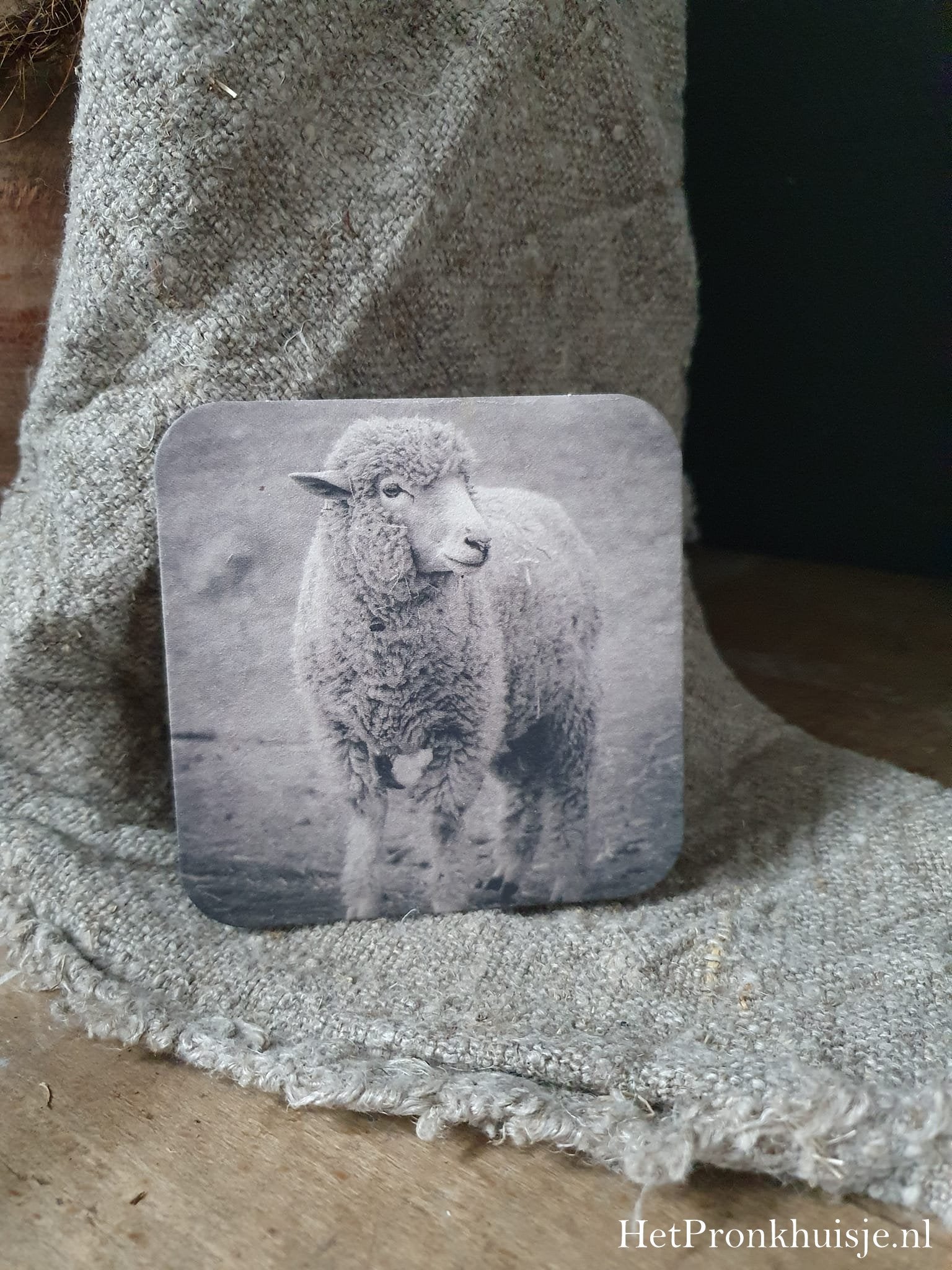 Viltje. Schaap