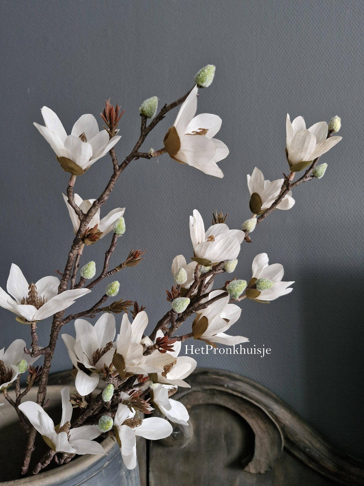 Volle Magnolia tak. Wit