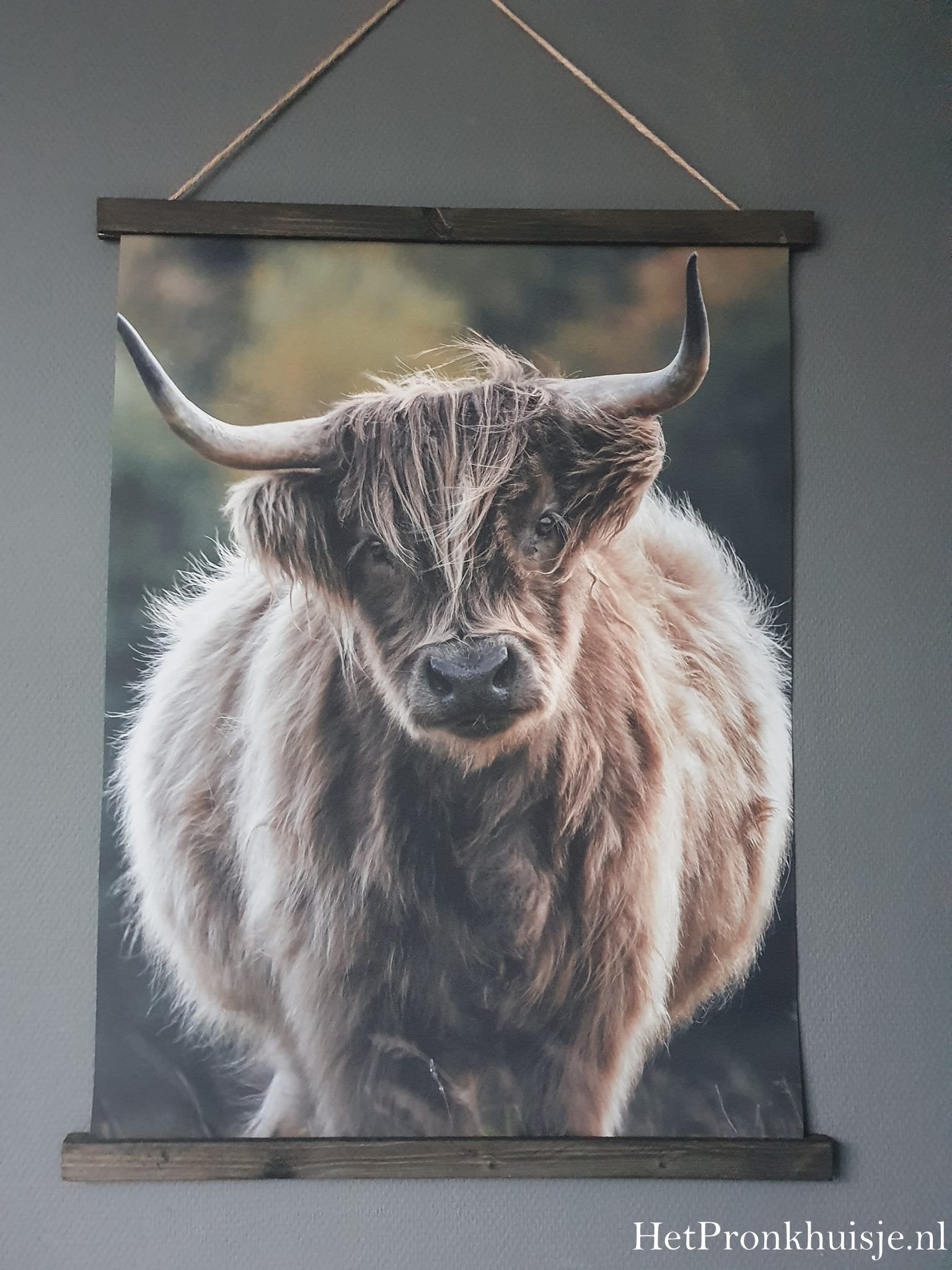 Wanddoek. Hooglander kalf.
