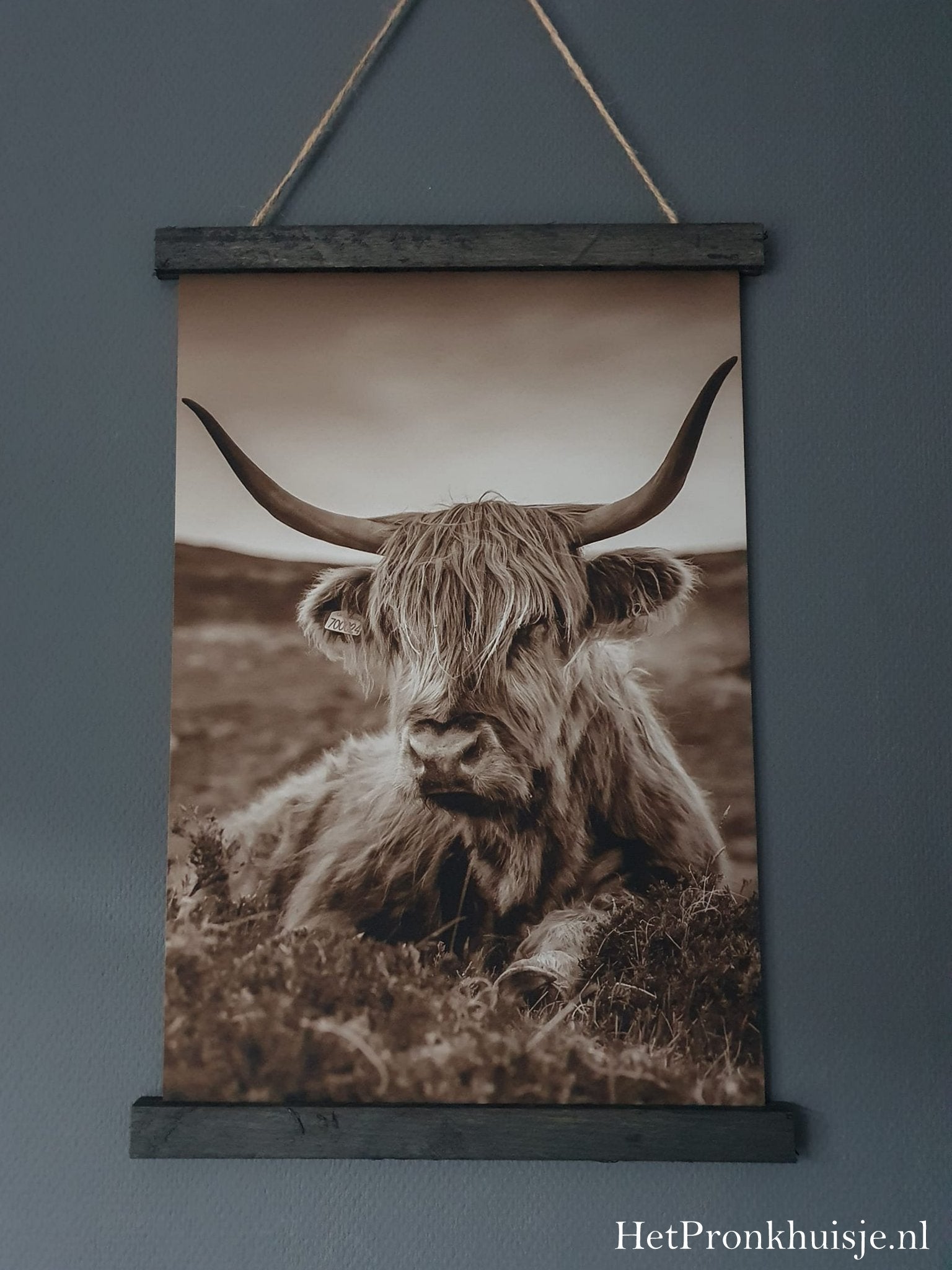 Wanddoek. Hooglander in sepia