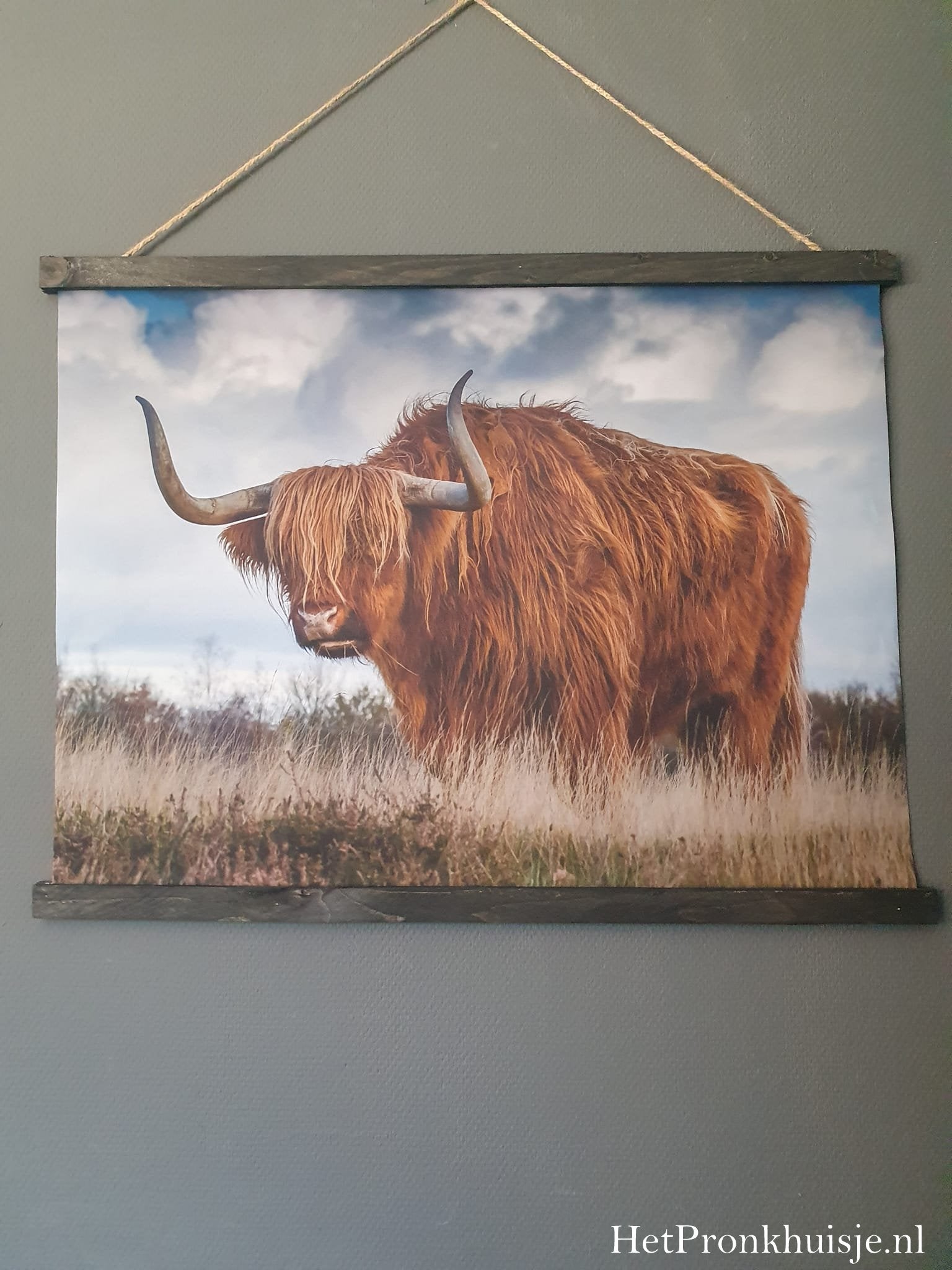 Wanddoek. Hooglander in veld. 80x60