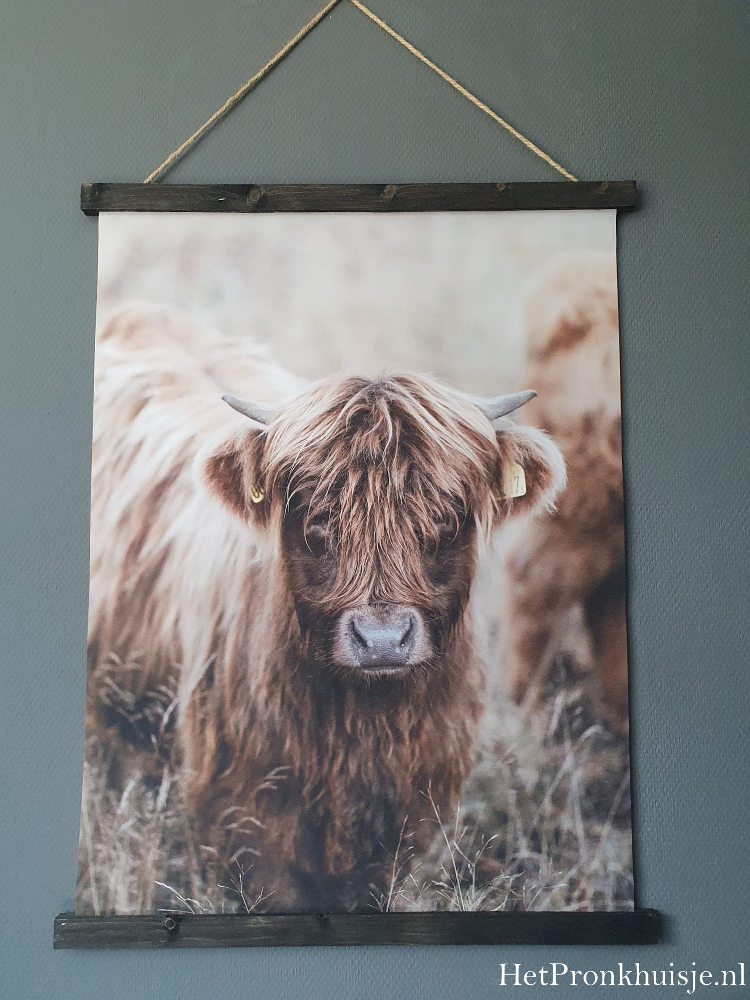 Wanddoek. Hooglander kalf