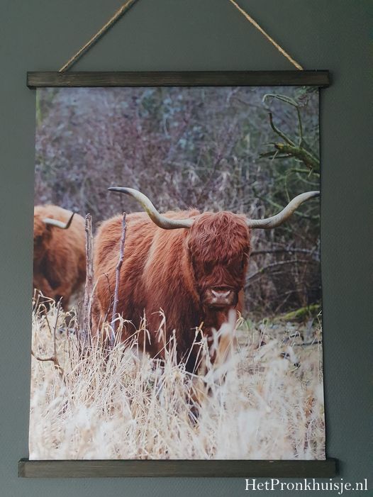 Wanddoek. Hooglander kudde