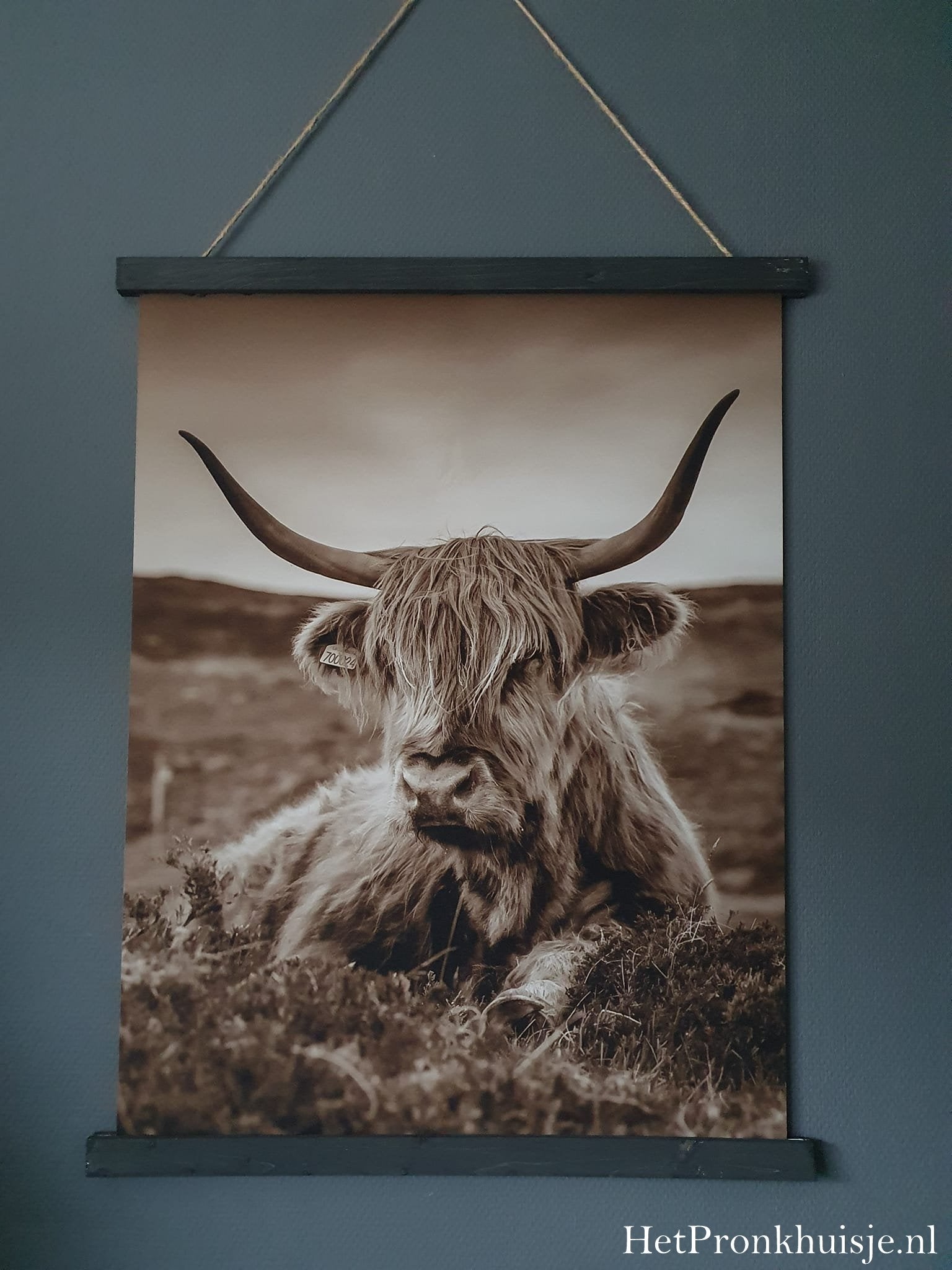 Wanddoek. Hooglander liggend. 80x60cm