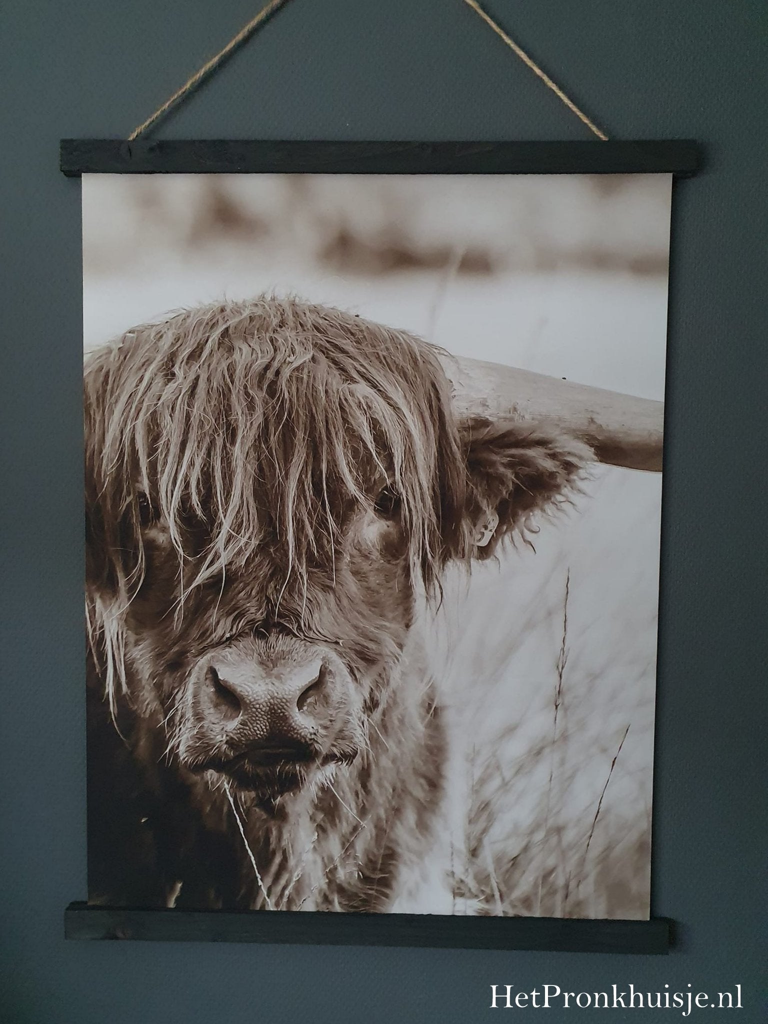 Wanddoek. Hooglander sepia