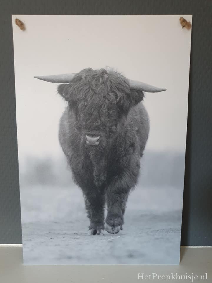 Muurbordjes aan touw. Hooglander.
