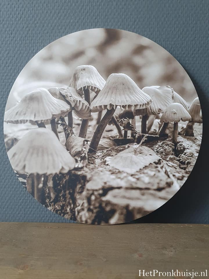 Muurcirkel paddenstoelen. Sepia. 30cm